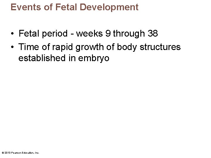 Events of Fetal Development • Fetal period - weeks 9 through 38 • Time