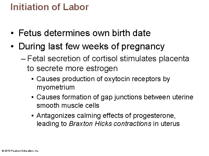 Initiation of Labor • Fetus determines own birth date • During last few weeks