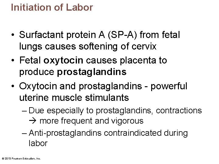 Initiation of Labor • Surfactant protein A (SP-A) from fetal lungs causes softening of