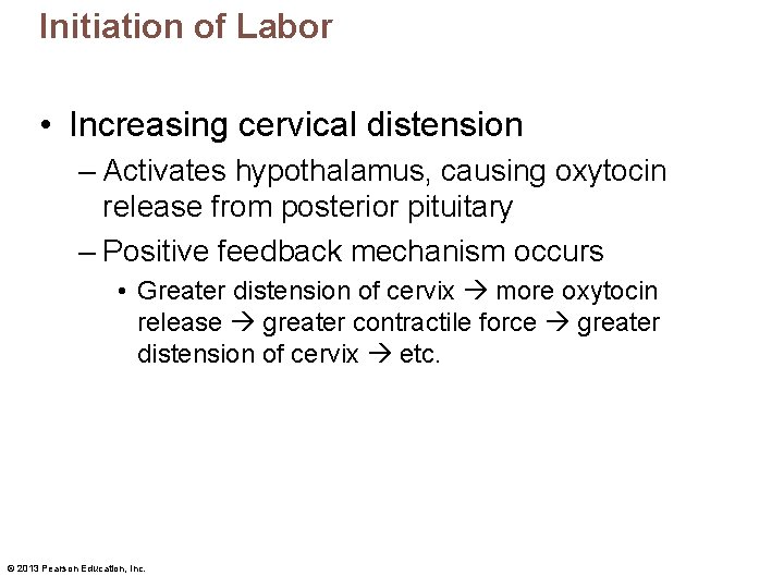 Initiation of Labor • Increasing cervical distension – Activates hypothalamus, causing oxytocin release from