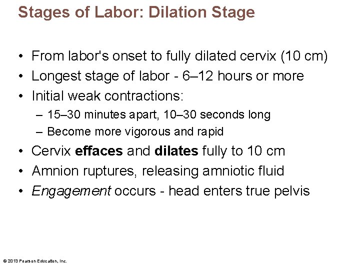 Stages of Labor: Dilation Stage • From labor's onset to fully dilated cervix (10