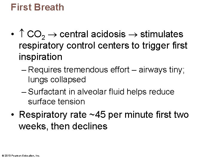 First Breath • CO 2 central acidosis stimulates respiratory control centers to trigger first