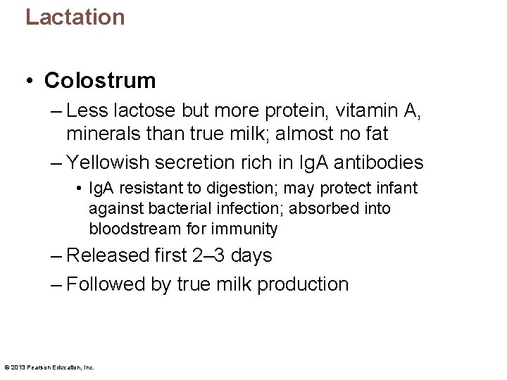 Lactation • Colostrum – Less lactose but more protein, vitamin A, minerals than true