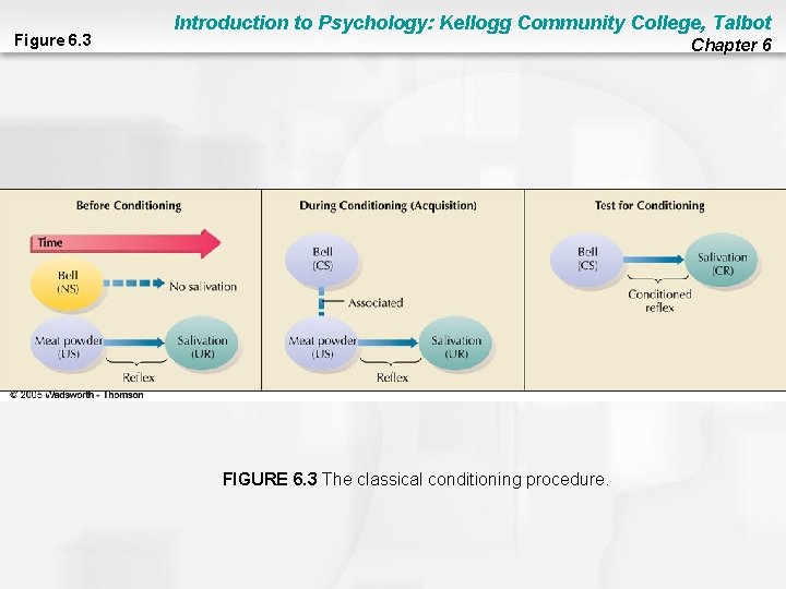 Figure 6. 3 Introduction to Psychology: Kellogg Community College, Talbot Chapter 6 FIGURE 6.