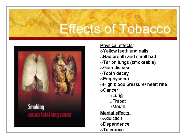 Effects of Tobacco Physical effects: o. Yellow teeth and nails o. Bad breath and