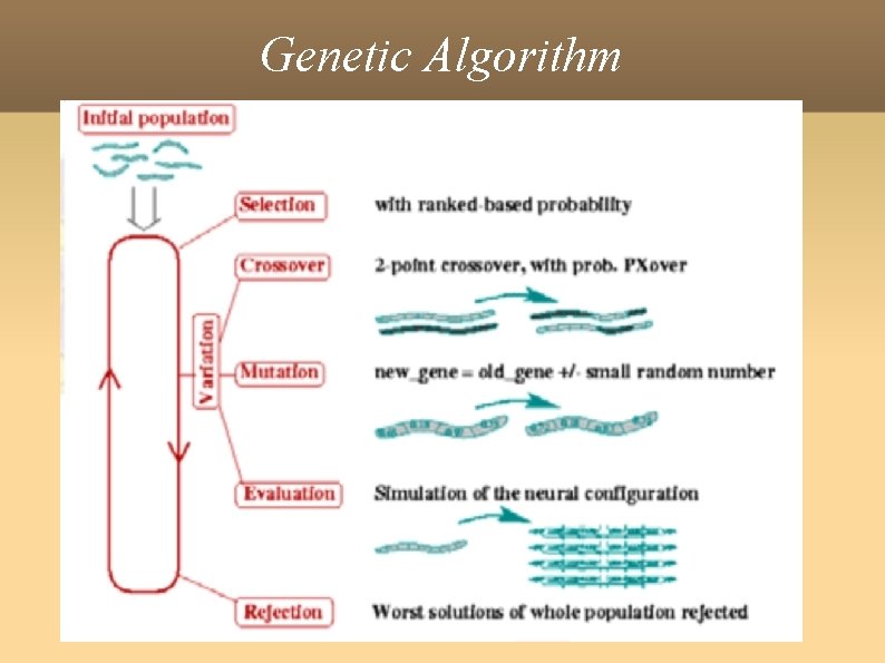 Genetic Algorithm 
