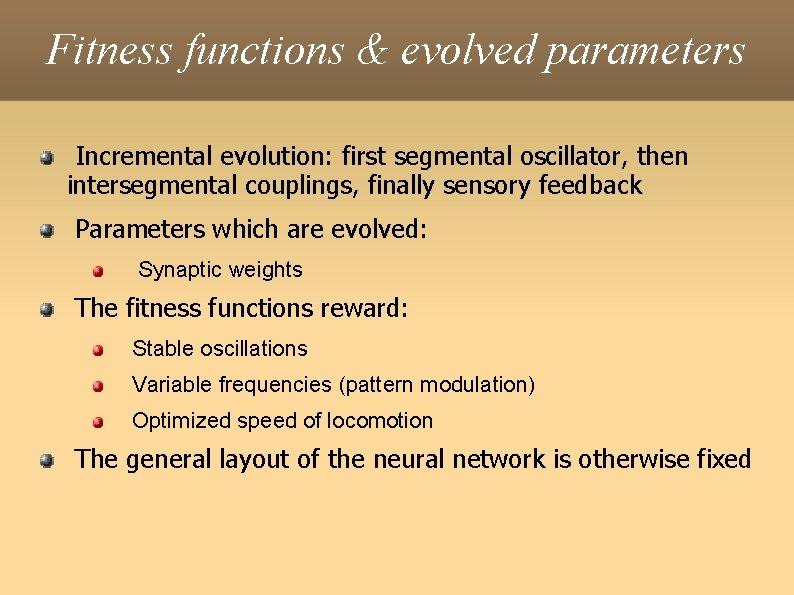 Fitness functions & evolved parameters Incremental evolution: first segmental oscillator, then intersegmental couplings, finally