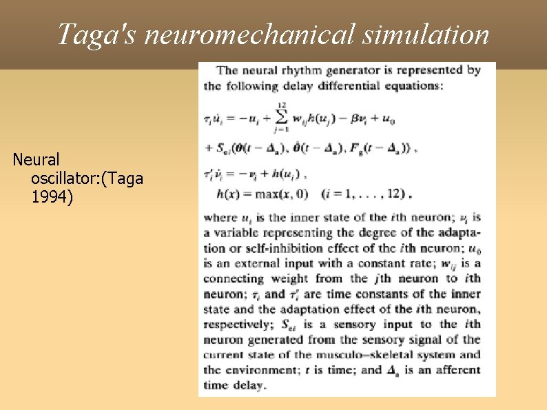 Taga's neuromechanical simulation Neural oscillator: (Taga 1994) 