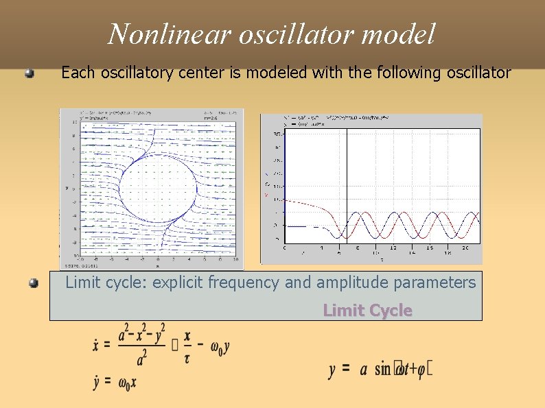 Nonlinear oscillator model Each oscillatory center is modeled with the following oscillator Limit cycle: