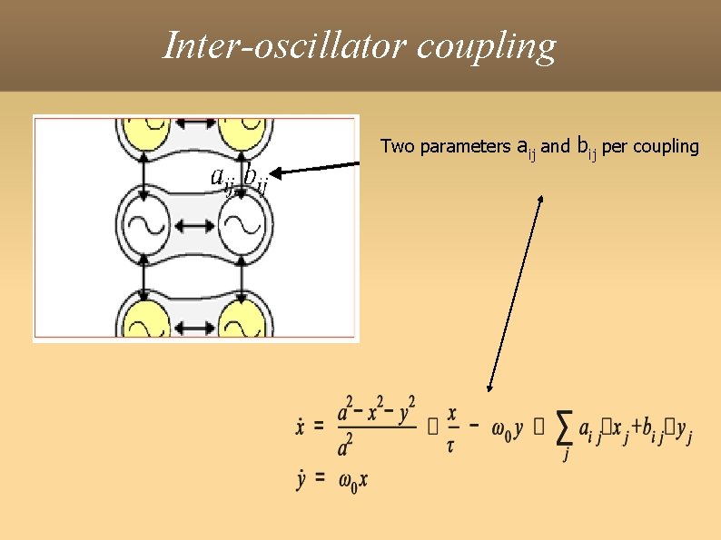 Inter-oscillator coupling Two parameters aij and bij per coupling 