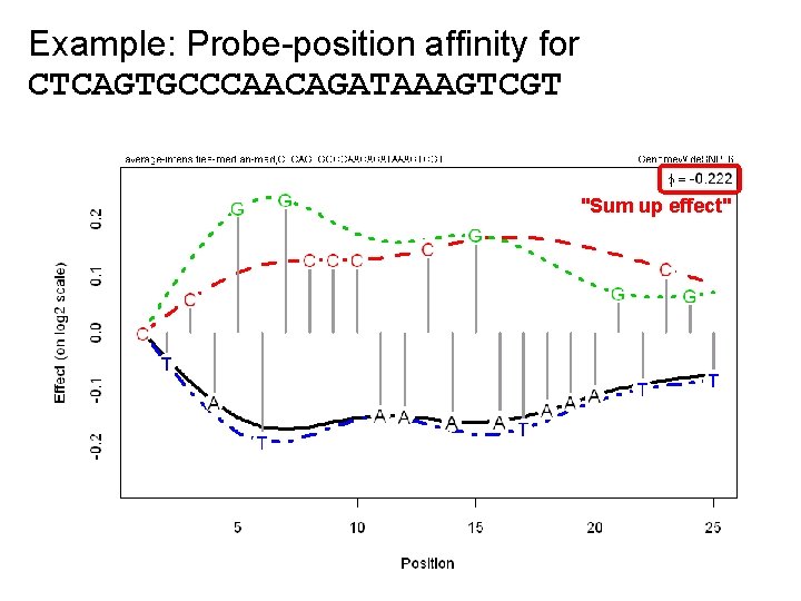 Example: Probe-position affinity for CTCAGTGCCCAACAGATAAAGTCGT "Sum up effect" 