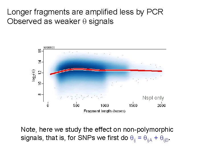 Longer fragments are amplified less by PCR Observed as weaker signals Note, here we