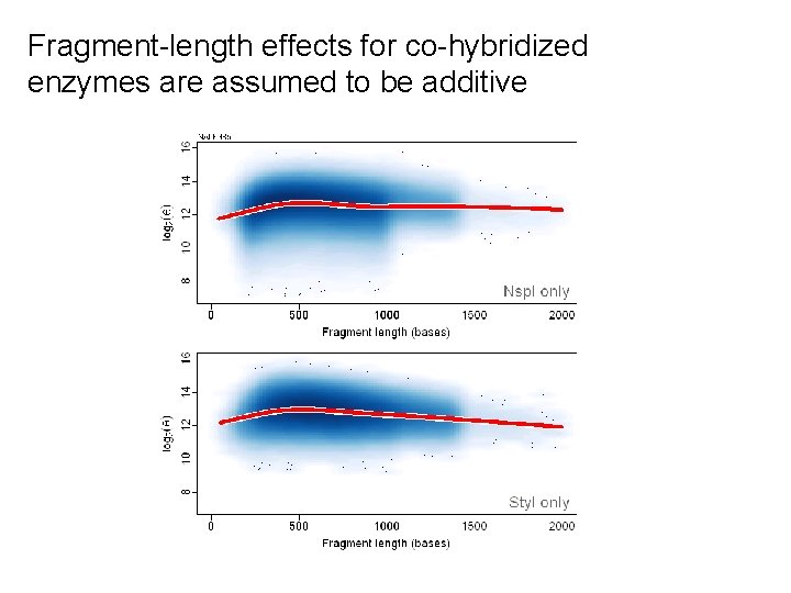 Fragment-length effects for co-hybridized enzymes are assumed to be additive 