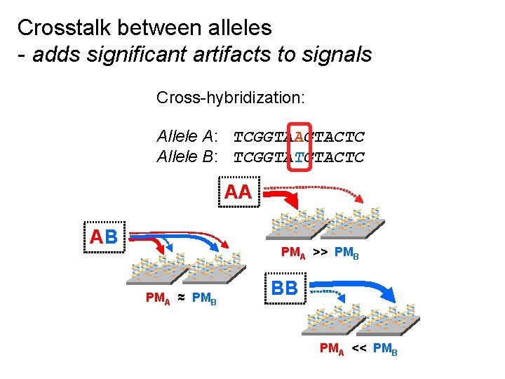 Crosstalk between alleles - adds significant artifacts to signals Cross-hybridization: Allele A: TCGGTAAGTACTC Allele