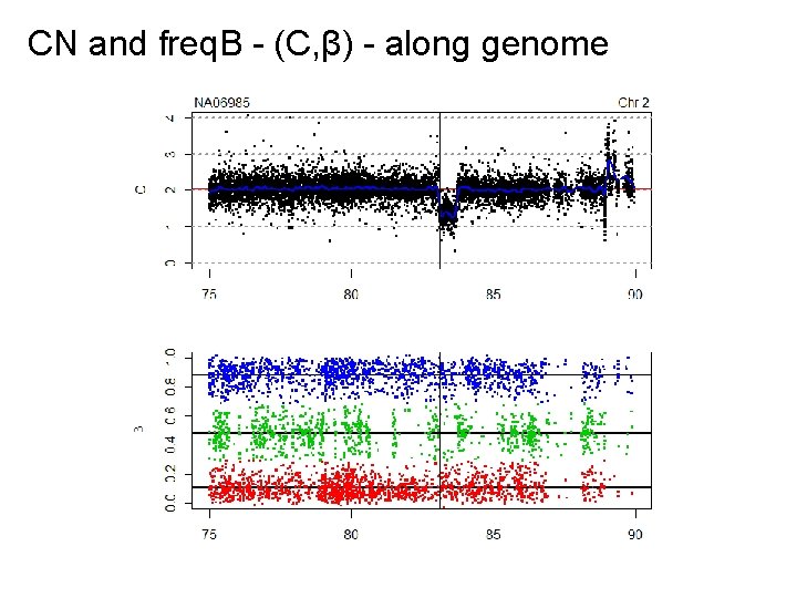 CN and freq. B - (C, β) - along genome 
