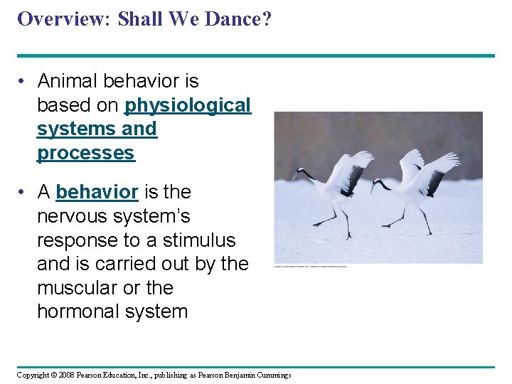 Overview: Shall We Dance? • Animal behavior is based on physiological systems and processes