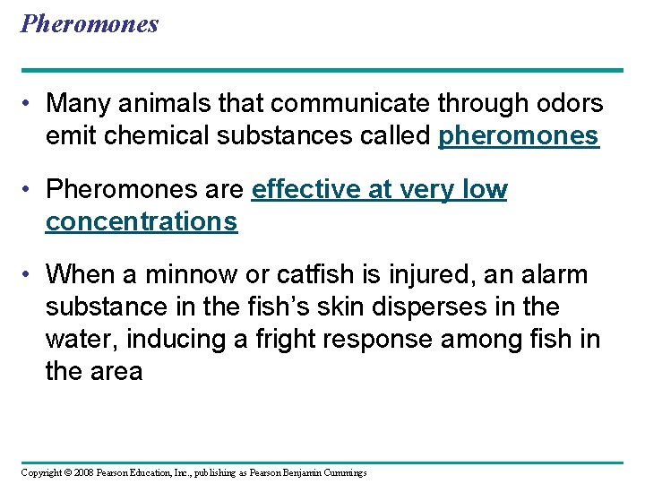Pheromones • Many animals that communicate through odors emit chemical substances called pheromones •