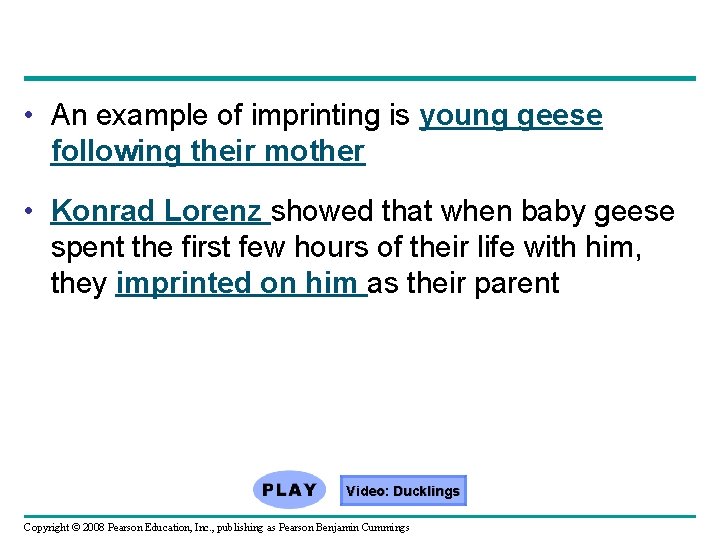  • An example of imprinting is young geese following their mother • Konrad