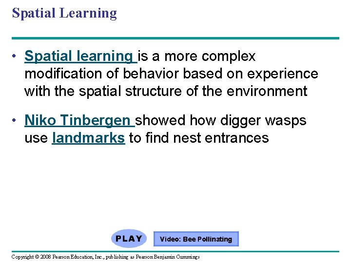 Spatial Learning • Spatial learning is a more complex modification of behavior based on