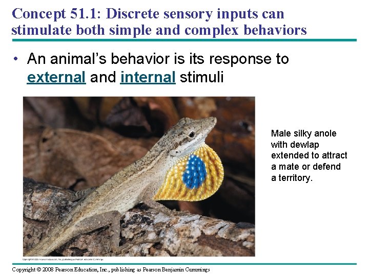 Concept 51. 1: Discrete sensory inputs can stimulate both simple and complex behaviors •