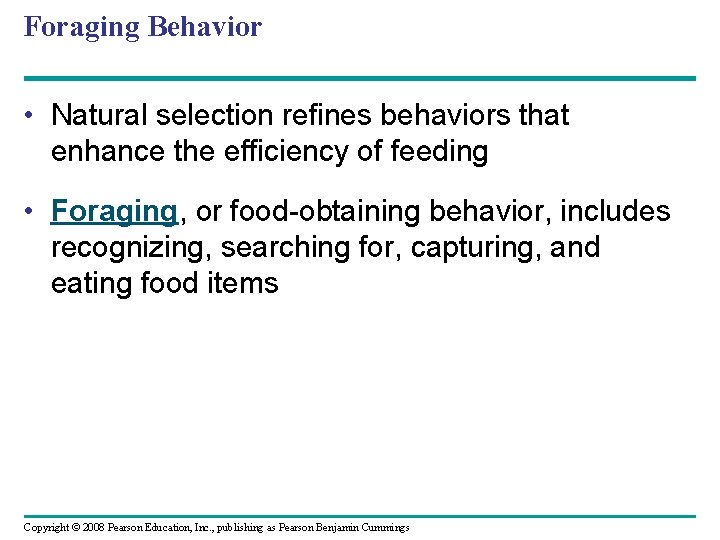 Foraging Behavior • Natural selection refines behaviors that enhance the efficiency of feeding •