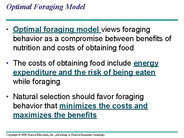 Optimal Foraging Model • Optimal foraging model views foraging behavior as a compromise between