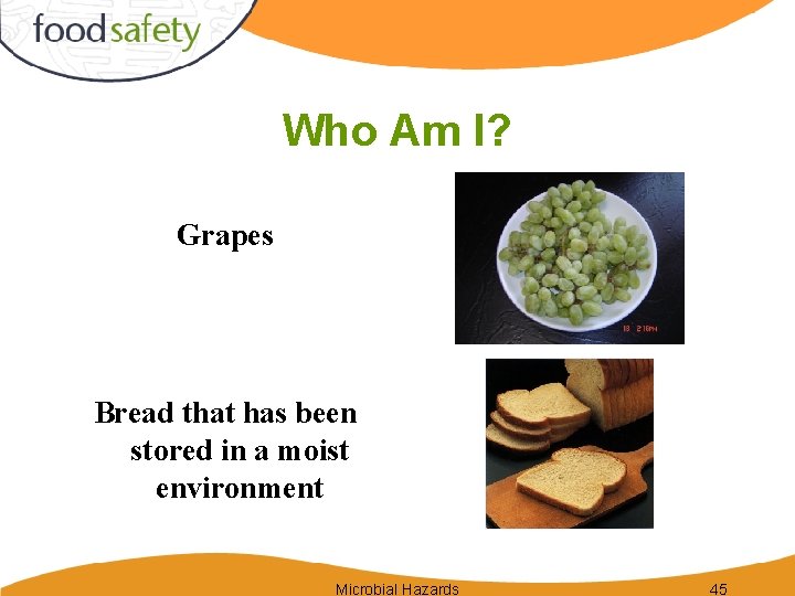 Who Am I? Grapes Bread that has been stored in a moist environment Microbial