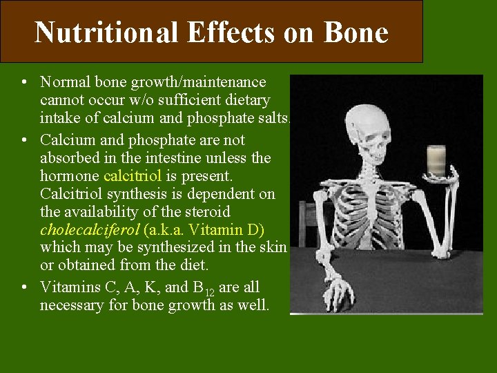 Nutritional Effects on Bone • Normal bone growth/maintenance cannot occur w/o sufficient dietary intake Nutritional Effects on Bone • Normal bone growth/maintenance cannot occur w/o sufficient dietary intake
