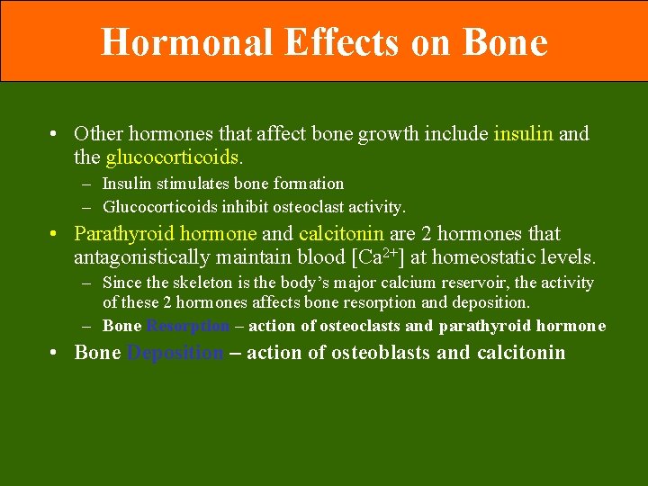 Hormonal Effects on Bone • Other hormones that affect bone growth include insulin and Hormonal Effects on Bone • Other hormones that affect bone growth include insulin and