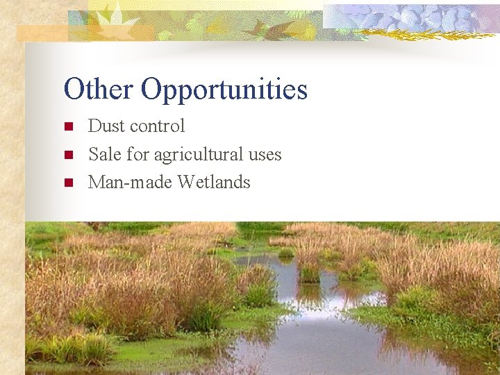 Other Opportunities n n n Dust control Sale for agricultural uses Man-made Wetlands 
