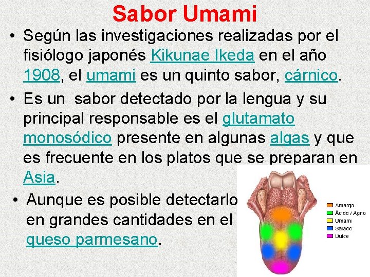 Sabor Umami • Según las investigaciones realizadas por el fisiólogo japonés Kikunae Ikeda en