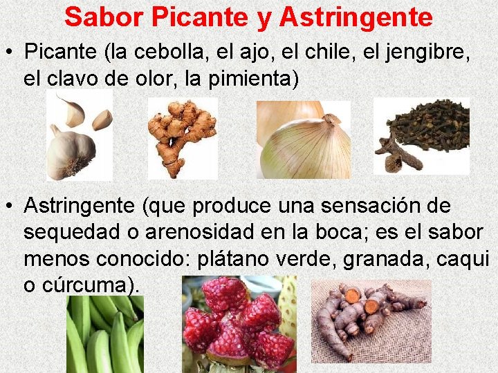 Sabor Picante y Astringente • Picante (la cebolla, el ajo, el chile, el jengibre,