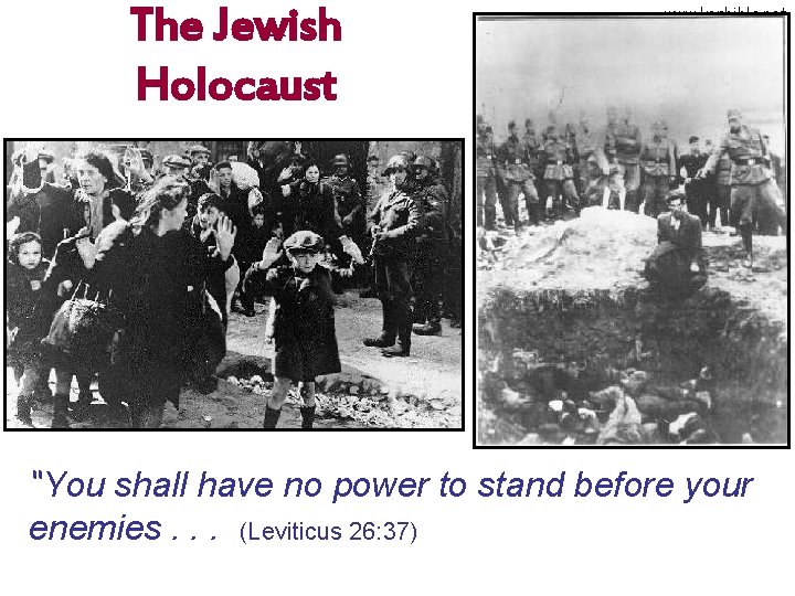 The Jewish Holocaust www. korbible. net “You shall have no power to stand before