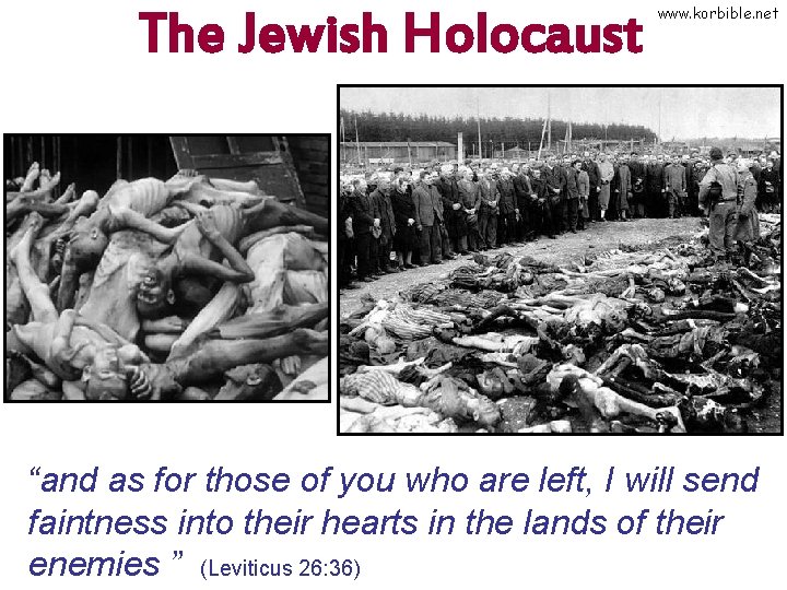 The Jewish Holocaust www. korbible. net “and as for those of you who are