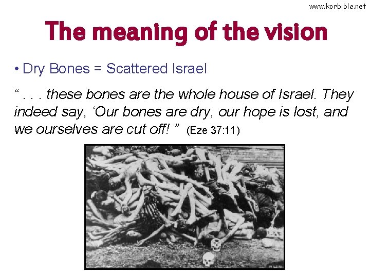 www. korbible. net The meaning of the vision • Dry Bones = Scattered Israel