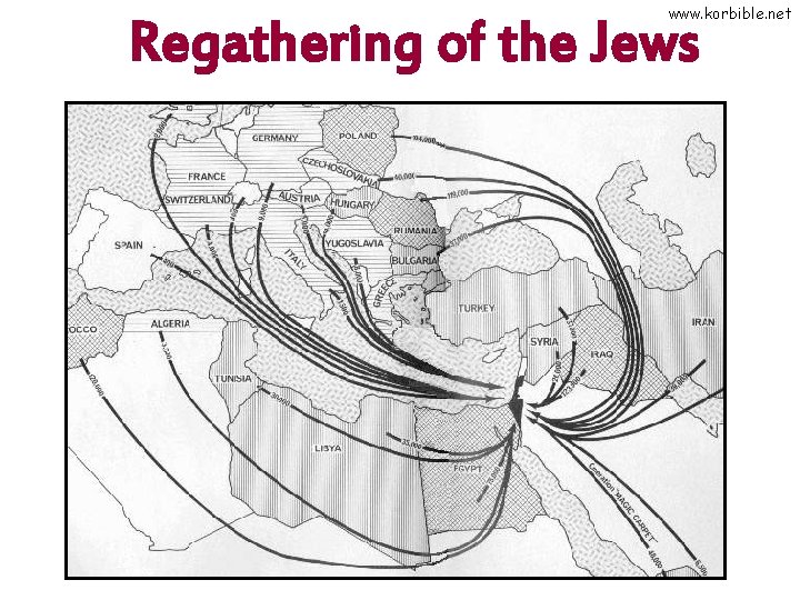 www. korbible. net Regathering of the Jews 