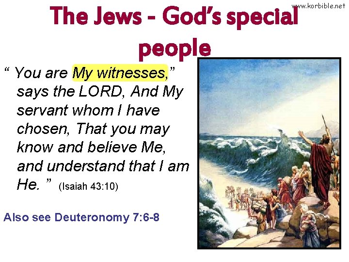 www. korbible. net The Jews - God’s special people “ You are My witnesses,