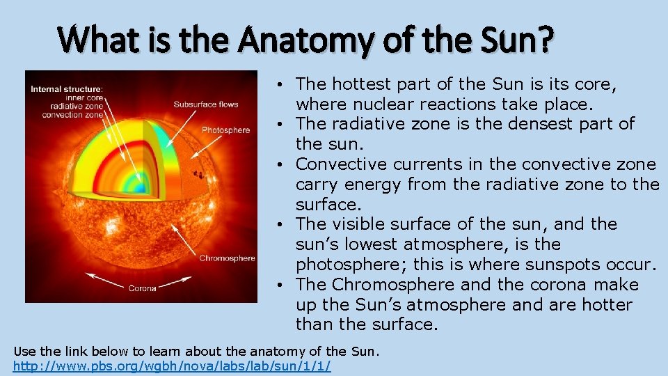 What is the Anatomy of the Sun? • The hottest part of the Sun