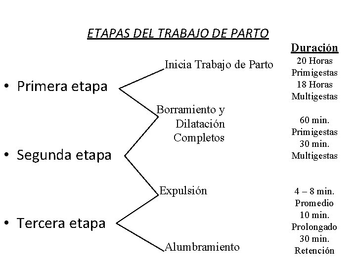 ETAPAS DEL TRABAJO DE PARTO Inicia Trabajo de Parto • Primera etapa Borramiento y