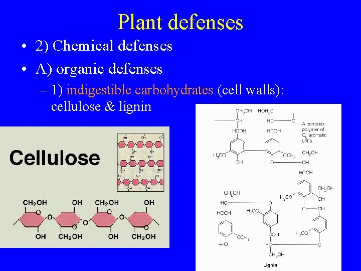 Plant defenses • 2) Chemical defenses • A) organic defenses – 1) indigestible carbohydrates