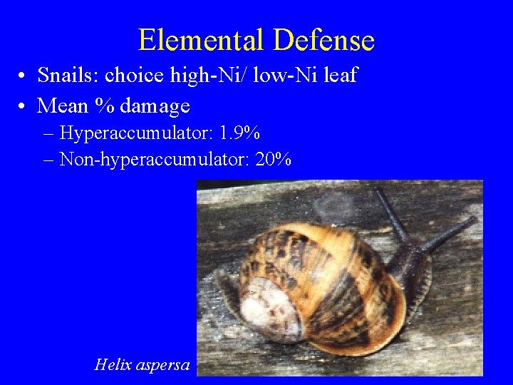 Elemental Defense • Snails: choice high-Ni/ low-Ni leaf • Mean % damage – Hyperaccumulator: