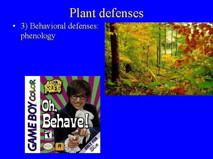 Plant defenses • 3) Behavioral defenses: phenology 