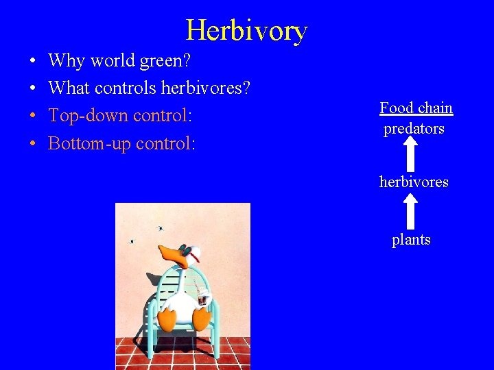 Herbivory • • Why world green? What controls herbivores? Top-down control: Bottom-up control: Food