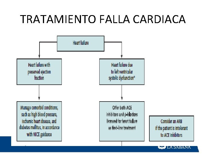 TRATAMIENTO FALLA CARDIACA 