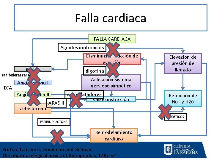 Falla cardiaca FALLA CARDIACA Agentes inotrópicos Disminución fracción de eyección renina digoxina Inhibidores renina