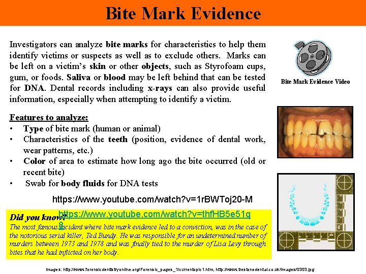 Bite Mark Evidence Investigators can analyze bite marks for characteristics to help them identify