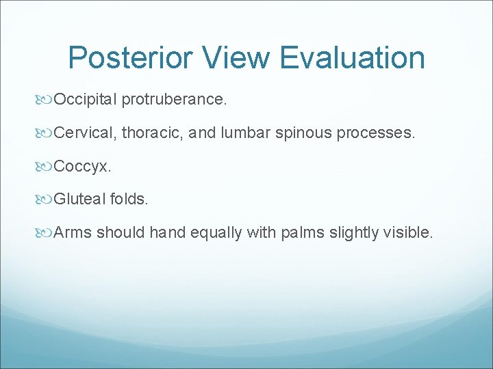Posterior View Evaluation Occipital protruberance. Cervical, thoracic, and lumbar spinous processes. Coccyx. Gluteal folds.