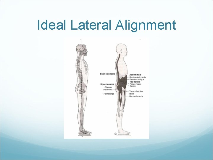 Ideal Lateral Alignment 