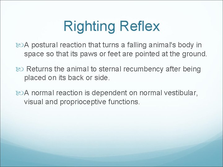 Righting Reflex A postural reaction that turns a falling animal's body in space so