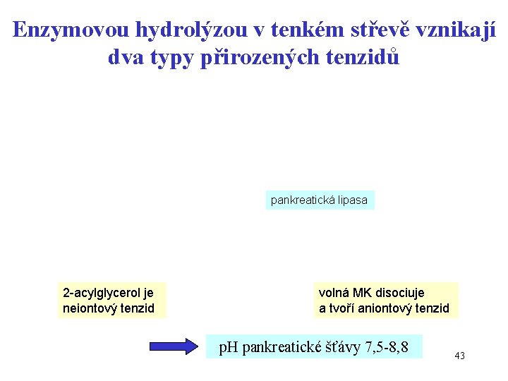 Enzymovou hydrolýzou v tenkém střevě vznikají dva typy přirozených tenzidů pankreatická lipasa 2 -acylglycerol